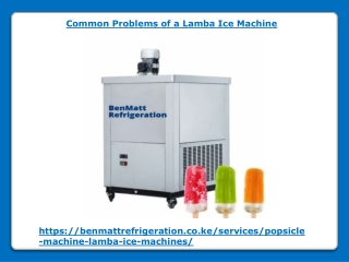 Common Problems of a Lamba Ice Machine