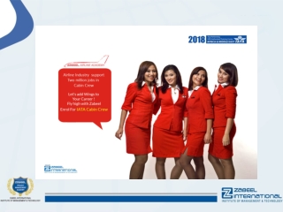 What does the cabin crew do or roles?-Cabin crew