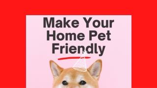 How To Make Your Home Pet Friendly