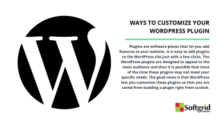Ways to customize your WordPress plugin