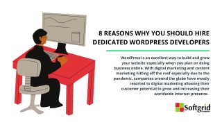8 Reasons Why You Should Hire Dedicated WordPress Developers