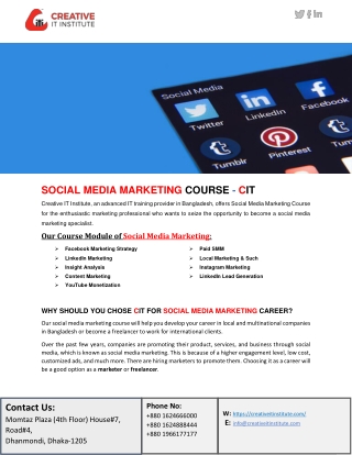 Social Media Marketing (SMM)