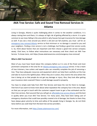 AKA Tree Service: Safe and Sound Tree Removal Services in Atlanta