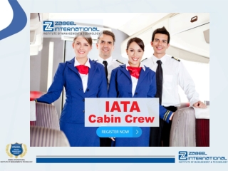Who is the cabin crew in airlines?-Airline cabin crew