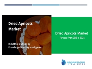 Industrial Outlook of Dried Apricots Market