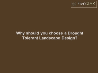 Why Should You Choose a Drought Tolerant Landscape Design?