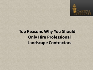 Top Reasons Why You Should Only Hire Professional Landscape Contractors