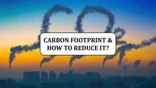 Carbon Footprint & How To Reduce It