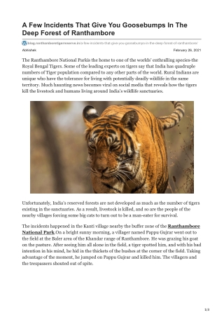 A Few Incidents That Give You Goosebumps In The Deep Forest of Ranthambore