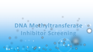 DNA Methyltransferase Inhibitor Screening