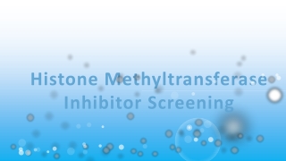 Histone Methyltransferase Inhibitor Screening