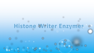 Histone Writer Enzymes