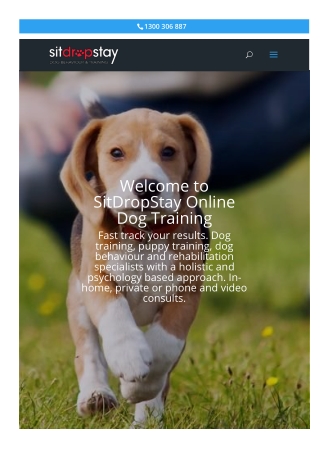 Online Dog Training