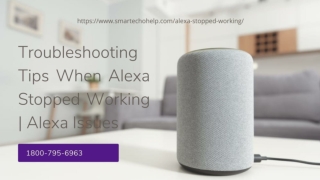 Alexa Stopped Working Instant Resolve 1-8007956963 Instant Alexa Helpline