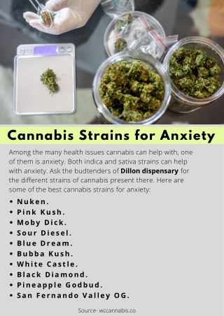 Cannabis Strains for Anxiety