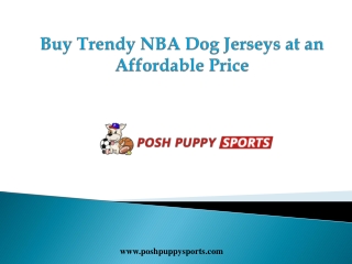 Buy Trendy NBA Dog Jerseys at an Affordable Price