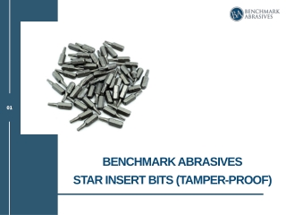 Tamper Resistant Star Insert Bits