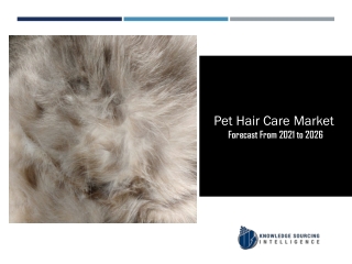 Pet Hair Care Market to be Worth US$1,528.434 million by 2026