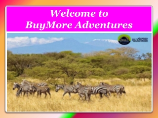 Masai Mara Wildlife Safari Tour for Experiencing Fascination of Unparalleled Natural Wealth