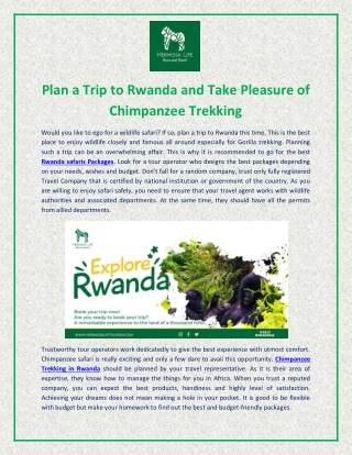 Plan a Trip to Chimpanzee Trekking in Rwanda