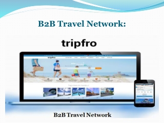 B2B Travel Network