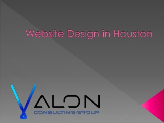 Website Design in Houston