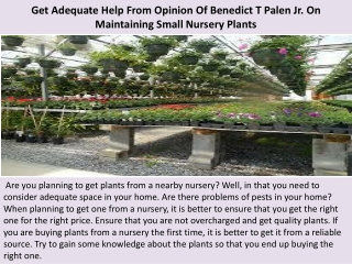 Get Adequate Help From Opinion Of Benedict T Palen Jr. On Maintaining Small Nursery Plants