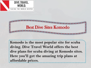 Best Dive Sites Komodo