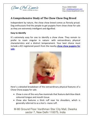 A Comprehensive Study Of The Chow Chow Dog Breed