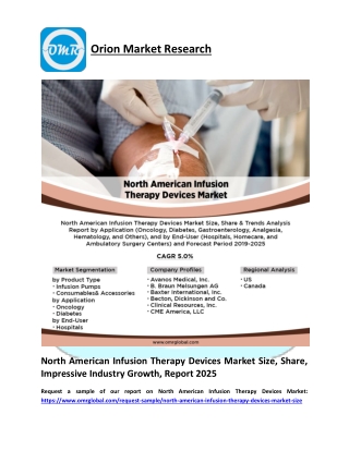 North American Infusion Therapy Devices Market Size, Share, Impressive Industry Growth, Report 2025