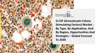 Global G-CSF (Granulocyte Colony Stimulating Factors) Market Opportunities And Strategies To 2030