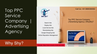 Top PPC Service Company  | Advertising Agency | Why Shy?