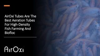 AirOxi Tubes Are The Best Aeration Tubes For High-Density Fish Farming And Biofloc