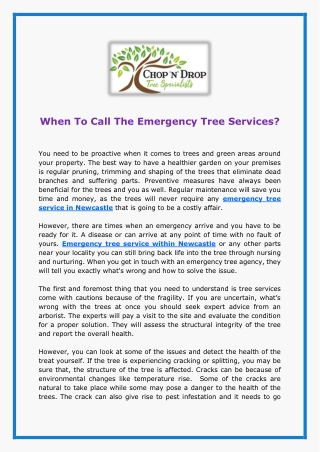 When To Call The Emergency Tree Services?