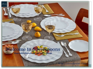 Deposable dinnerware sets for weddings
