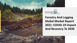 Forestry And Logging Market Rising Demand, Recent Trends And Development Status