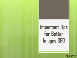 Important Tips for Better Images SEO