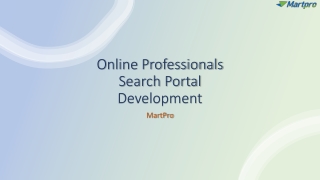 Online Professionals Search Portal Development