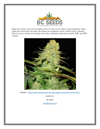 Coca Wine | Bcseeds.com