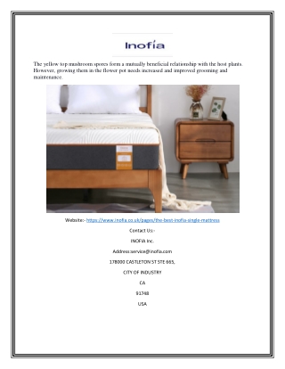 Best Firm Mattress in Uk | Inofia.co.uk