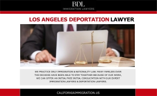 Top Los Angeles deportation lawyers in USA at Brian D Lerner