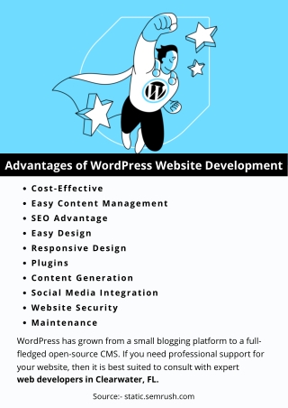 Advantages of WordPress Website Development