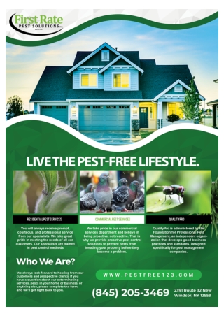 Bee Removal Orange County | Rodent Control Orange County