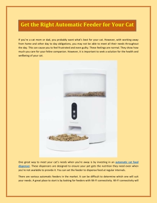 Get the Right Automatic Feeder for Your Cat