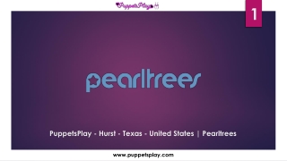 PuppetsPlay - Hurst - Texas - United States | Pearltrees