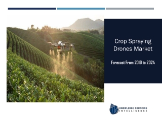 Crop Spraying Drones Market to be Worth US$48.681 billion in 2024