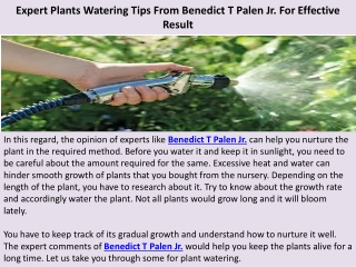 Expert Plants Watering Tips From Benedict T Palen Jr. For Effective Result