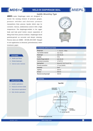 MDS14 Weld - In Diaphragm Seal - Saddle Mounting Type | MIEPL