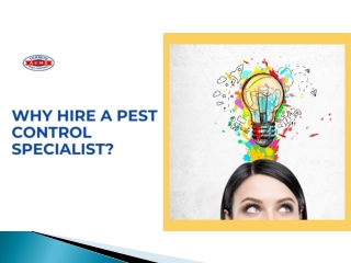 Why Hire a Pest Control Specialist?
