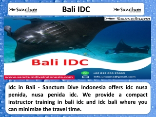 Bali IDC